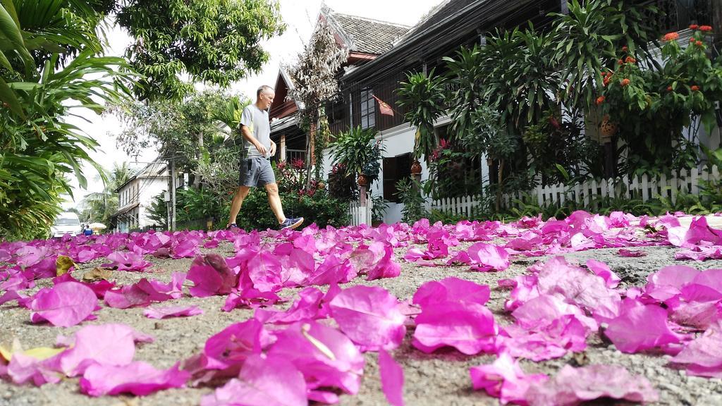 วิสดอม ลาว Hotel หลวงพระบาง ภายนอก รูปภาพ