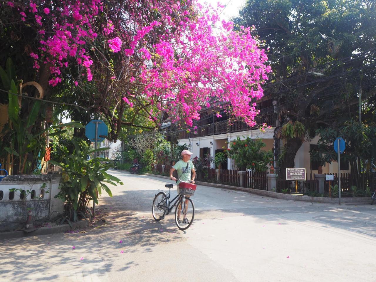 วิสดอม ลาว Hotel หลวงพระบาง ภายนอก รูปภาพ
