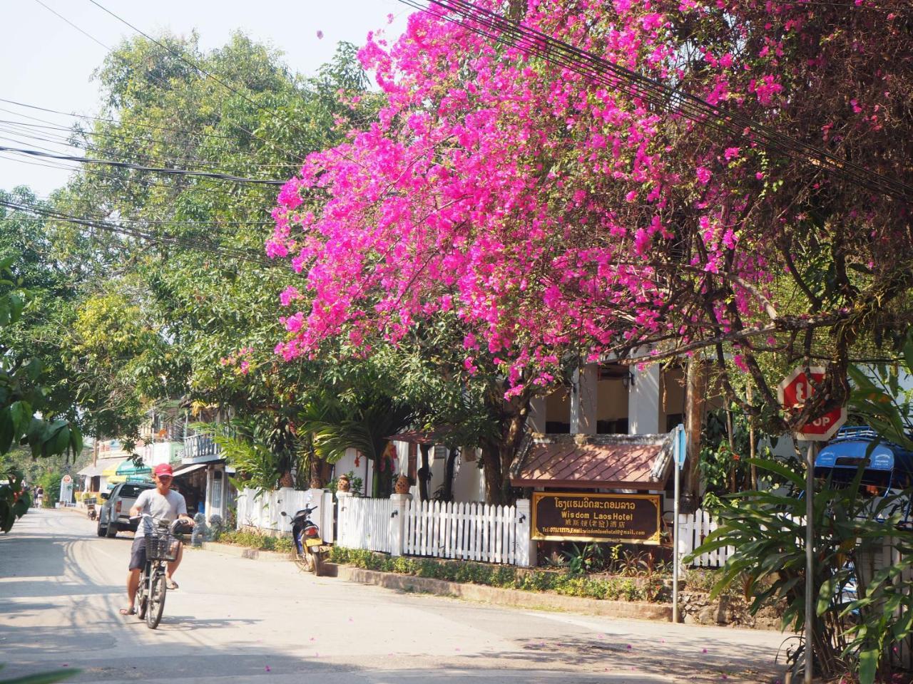วิสดอม ลาว Hotel หลวงพระบาง ภายนอก รูปภาพ